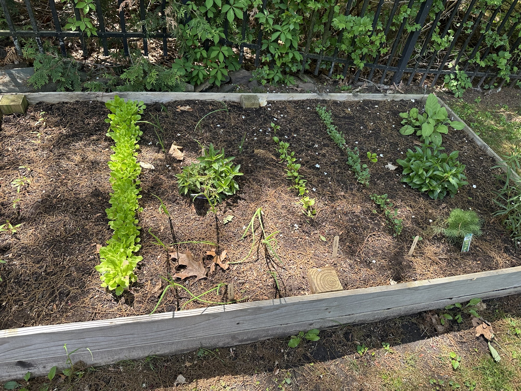 What’s Next? Deciding What to Grow Each Season