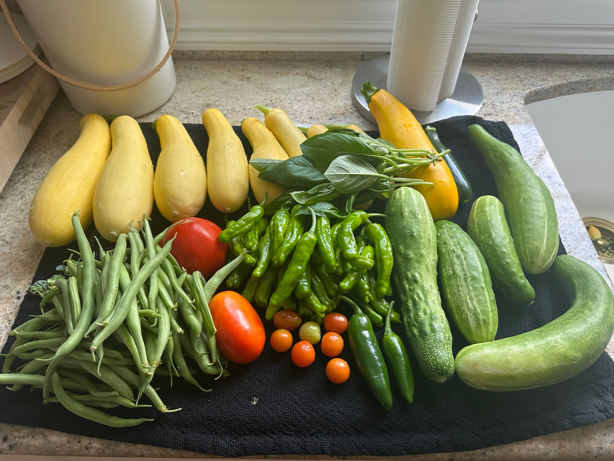 5 Gardening Takeaways For A Successful Harvest