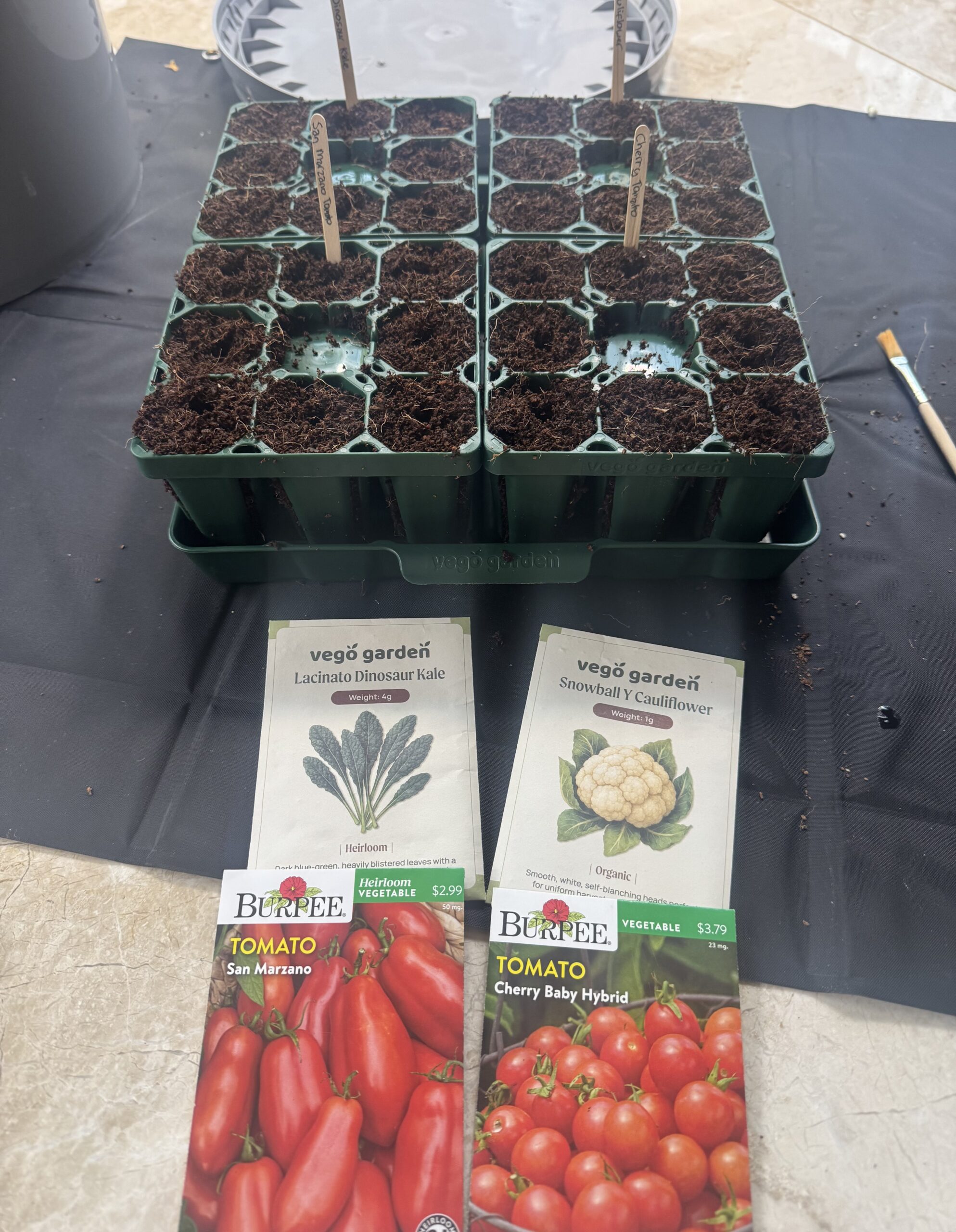Spring is Coming! Seed Starting in February