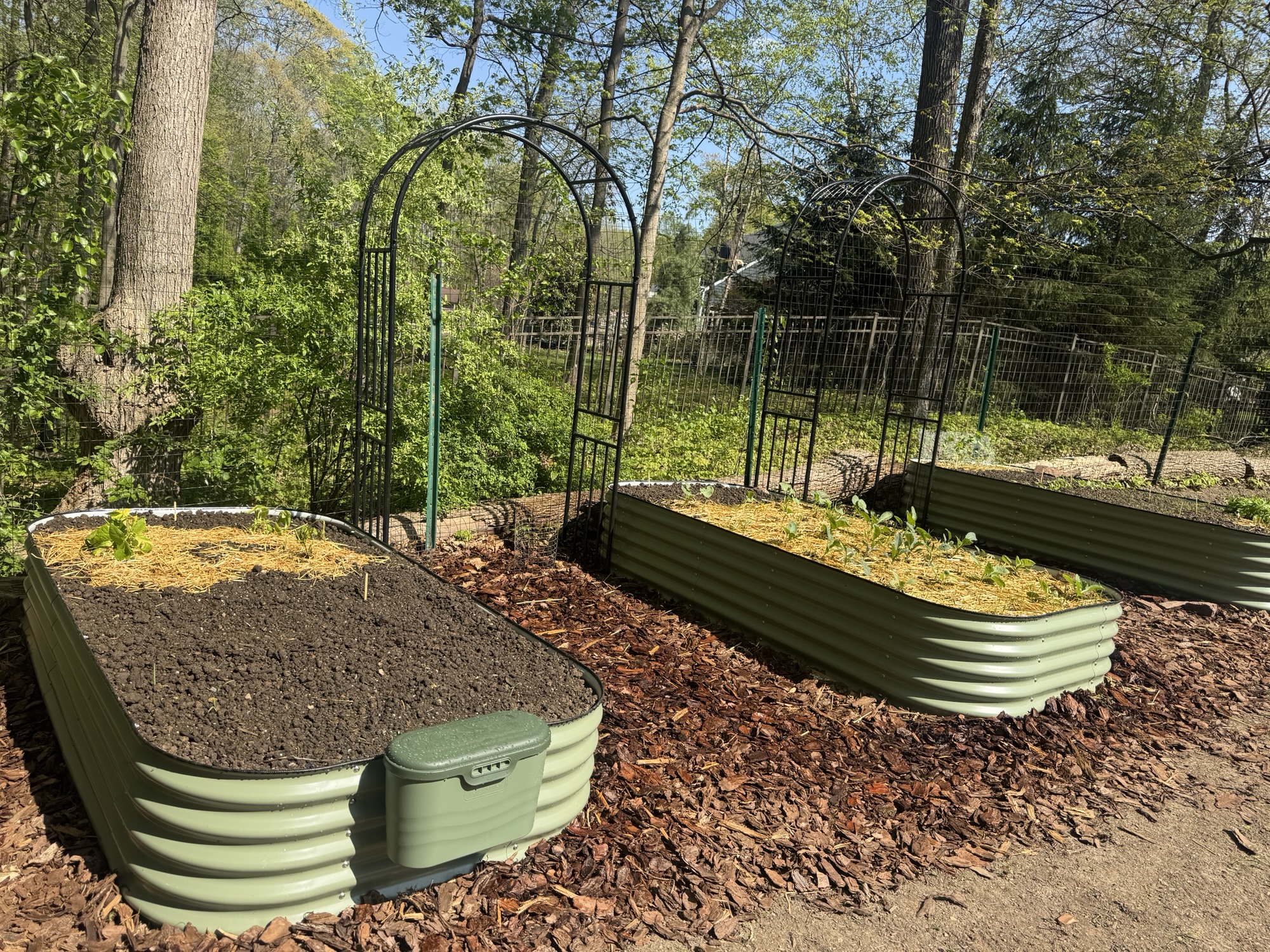 April Planting: A Garden Rollercoaster!