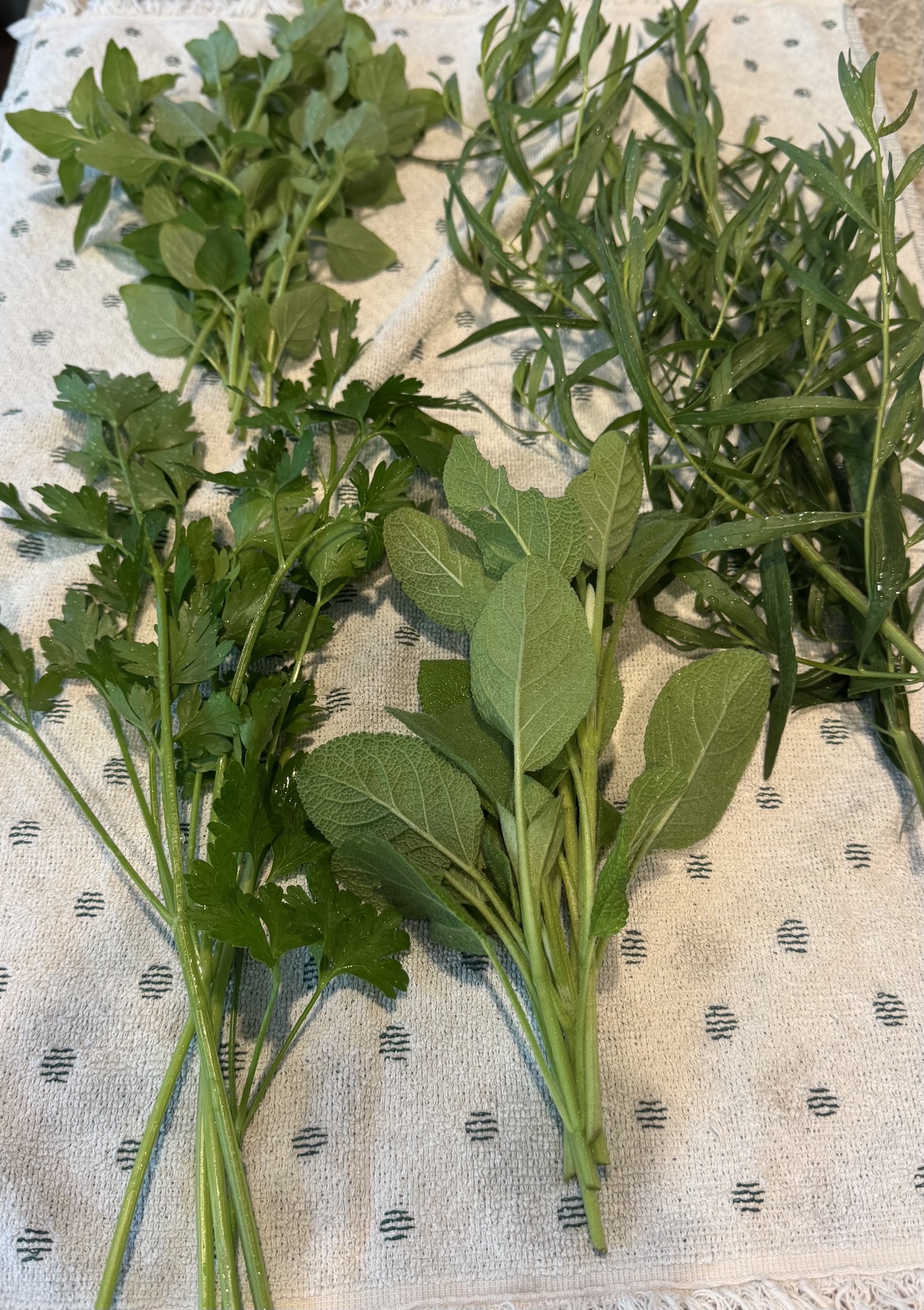 So Many Herbs! A Journey Into Food Preservation